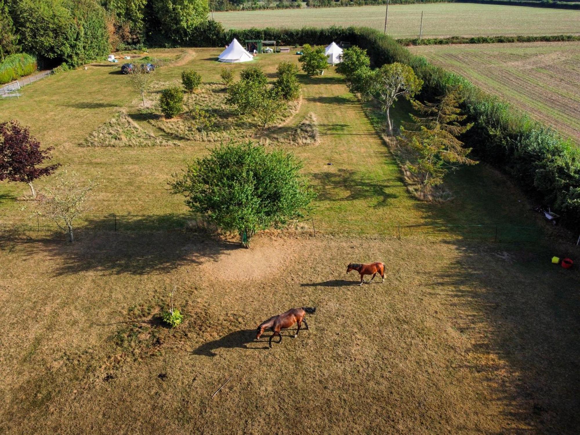 Готель The Follies Glamping Мейдстон Екстер'єр фото